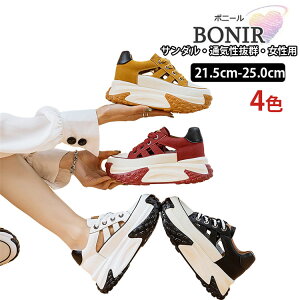 Xj[J[ T_ fB[X Xj[J[  X|[cT_ vbgtH[ V[Y r[`T_ T_ fB[XT_ ؂ C ʋC V[Y AEgh