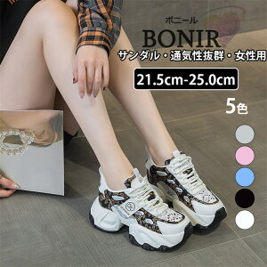 5F Xj[J[ fB[X T_ v Xj[J[ nCq[7cm  X|[cT_ vbgtH[V[Y r[`T_ T_ fB[XT_ ؂ C V