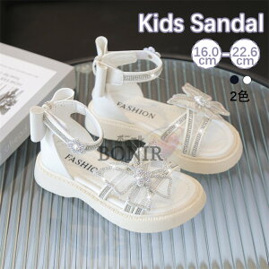 LbY T_ LL q T_ ̎q C  y ₷  ubN zCg P qT_ WjA  JbRCC  w w ؂ ɂ 16