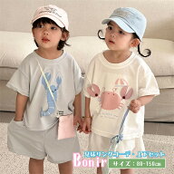 キッズ 子供服 上下セット カニ 女の子 ショートパンツ 男の子 韓国子供服 シャツ パンツ セットアップ …