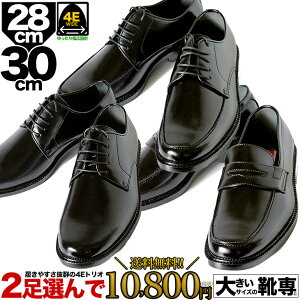 �r�W�l�X�V���[�Y 28cm 29cm 30cm �������� �L���O�T�C�Y �傫���T�C�Y�̌C �r�W�l�X�V���[�Y �a�m�C 2���Z�b�g���L 4e �V���� �������� ������ �A�� �ʐ� �h�� ���� �����y2���Z�b�g��11,880�~�i��