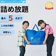 【500円OFFクーポン配布中（8,500円～)】クリーニング 宅配 5点迄【送料無料】 今だけしみぬき無料 宅配 …