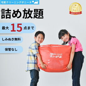 【10%OFFクーポン（14,211円～）】クリーニング 宅配 15点迄【送料無料】今だけ有料しみぬきも無料！！【月間ランキング1位】【ブロガー推薦♪】クリーニングの衣替えに最適です。クリーニング 詰め放題 宅配 15点迄 クリーニングならボニータ店へ