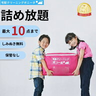 【1，000円OFFクーポン配布中】クリーニング 宅配 10点迄【送料無料】 今だけしみぬき無料 宅配 クリーニ…