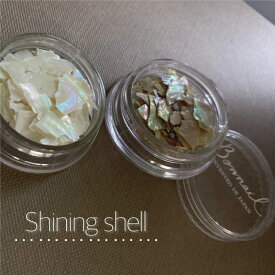 ボンネイル ジェルネイル 貝 シェル shell フレーク 高級 きれい@Bonnailシャイニングシェル @756437