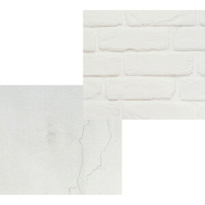 {lC WFlC Be `bv CX^ T f fBXvC tHg@Bonnail 2WAYfUCtHgV[g #04 RN[g×ubN^C