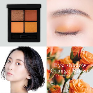 �A�C�V���h�E �p���b�g �I�����W �u���E�� �x�[�X���C�N�E���C�N�A�b�v 4�F�p���b�g ������ �����F �R�X�� �C�G�x ���C�N �v�`�v�� �D�G �p�E�_�[�A�C�V���h�[ �i�`������ �A�C�J���[ ����