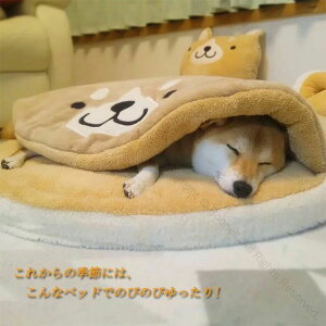 ybgxbh ^ ^ Lp Lpxbh Č NbV ybg\t@ }bg g ybgnEX ybgpi ybgpObY ybgNbV Lxbh xbh ̑ ӂ