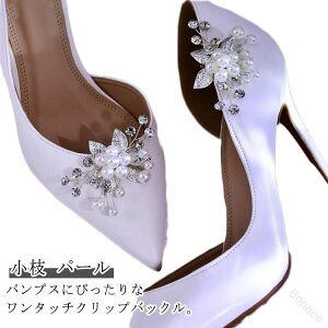 }V[YNbv21gԃ`[tp[pvXNbvpvXNbv؂₩V[YANZT[V[Yp[cfB[XԉŏEFfBOhXV[Yu