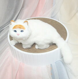 猫 爪とぎ 猫爪研ぎ 爪研ぎ ダンボール 段ボール スクラッチャー ガリガリ つめとぎ 取り換え可能 丸形 猫おもちゃ 猫ベッド ストレス解消 おしゃれ 爪磨き 時空コンパス 交換用 爪削り