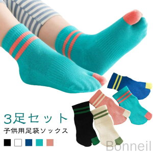 y3ZbgzLbY  ܃\bNX  Ԃ Rbgf qpC 2{wC ̎q N[ X|[c WjA ȍ ǂp w {w\bNX ʉ ʊw ^