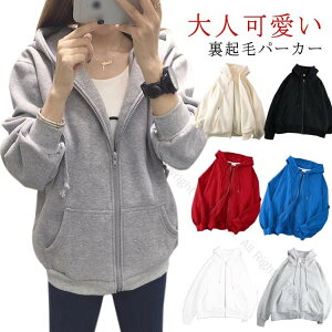 WbvAbv Nуp[J[ fB[X gbvX  XEFbgp[J[ AE^[  HD WPbg H~ JWA 傫TCY rbOVGbgp[J[  lC