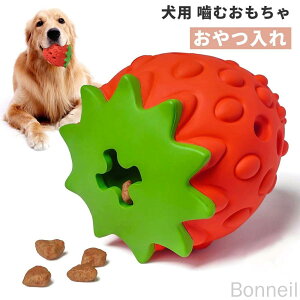 LOi   p{[ ߋ _炩 ₷  ԗp ybgp{[ ^s ɂ v  ^ ^p  C`S^ _CG