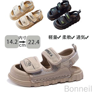 q V[Y X|[cT_ 15cm 16cm 17cm 18cm 19cm 20cm 21cm 22cm c ėp LbY V[Y ~ ʋC C ܐی j̎q ̎q ʉ ʊw r[`T_  ct ۈ牀 