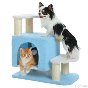 Lbg^[ ~j L^[ ybgp KiXebvt ߐ݌v L ܌^[ ŃXȉ_fUC Lxbht WvȔLɐlC eLVjAɍ