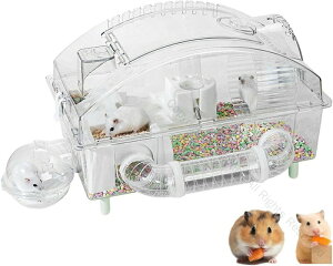 nX^[ P[W P[W Zbg SʃNA  ₷ gbvhA ȒP Eoɂ ʋCǂ K L {g я gl 񂵎 Vя܂7_Zbg 2