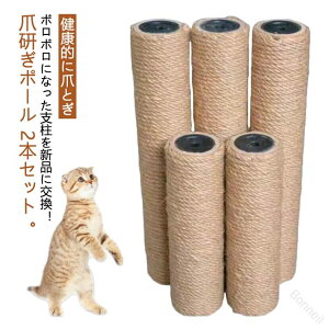 2Zbg Lbg^[p|[ L lRp܂Ƃ|[ ꊪx 6cm Iׂ钷M8-20cm M8-30cm M8-40cm M8-50cm L^[ւ ybgpi Lpix ܌p|[