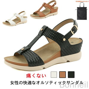 A[`T|[gT_ fB[X RtH[gT_ OΉ ₷ɂ T_ r[`T_rʃJWAi[XpÉI[