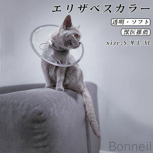 GUxXJ[ Lp NA \tg y _炩  񌳃NbVt p ی s[^[ b㐄E tFU[J[ O qL Lp rߖh~ rߖh~ 킢