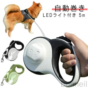 p 5m Cgt ybg莮[h 3m Lk[h  O ^ ^ ^ LEDƖ ˑf UpCgt 킢Xgbv  t[Lk hbO[h ybg