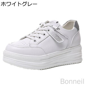  fB[X _bhXj[J[ [XAbvV[Y r VvfUC y X|[cV[Y JWA tbg h݌v NbVQ H EȒP lG