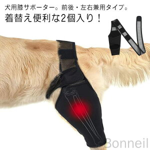 nr Œ ֐߃veN^[ 2 EP T|[^[ V ֐ߕی  x O㍶Ep veN^[ ی  G ybgpi s⏕ PApi 둫 O ܎ I 