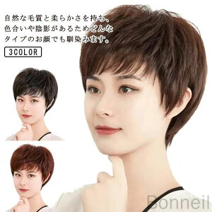 EBbO ×pECbO V[gJ[ Np l100% ip[} ʋCQ yʐ݌vŎRȎdオ KȑlCf