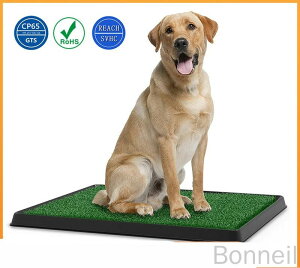  gC g[  X[p[ Ch Ő 2Zbg ybgp^gC}bgOΉϋvQzŉqIȃChTCY