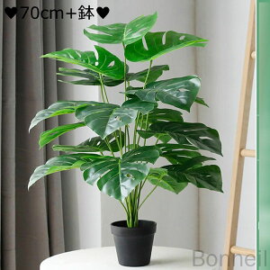lHA  lH ^ tFCNO[ oii̖؂̗t st Tw| lHV̖ ^Ηt oii̗t MѐA r[` rO[ ItBX 180cm 70cm  O 傫ȃoii