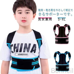 pT|[^[ qp  LwT|[^[  xg TCY߉\  ʋC w؃xg EȒP jp w pPT|[g