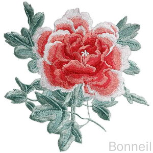 AbvP O 傫 hJ zpb` by `[t DIYf p C GXjbN  ANZT[ DKv nhCh | hXAbv CN GKg ߗޏCU Sʑ