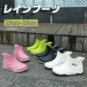 CV[Y fB[X V[gCu[c JC y ZC V[gu[c ʋ ʊw l ̎q ₷ h h Jp o[u[c IV   sN O[ 23cm 23