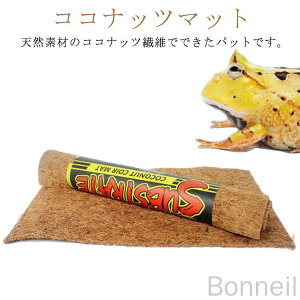 100×40cm 80×40cm  ঒  RRibc}bg  NK T  ybg}bg pbh  Q  ʋCQ ^pޗp