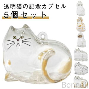 5Zbg L̖ю[{g L[z_[ L JvZ ybg ѓ P[X  lR ѓ L̖ю[{g ybg L L[z_[ тۊǂ{g 킢 gїp y