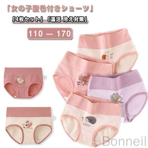 4Zbg ̎q V[c ȑf ₦΍  Ci[ pc  K[Y LbY  Xgb` WjA ʉ ۈ牀 ct w  w 110 120 130 140 150 160 170