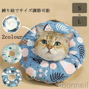 GUxXJ[ Lp \tg 炩 Ȏ y pPA _炩 wXPA ی rߖh~ ޖh~ ی pEFA K L 蒲\ Ŏg₷