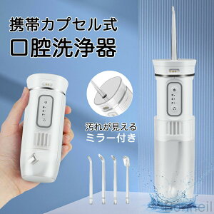 口腔洗浄器 ジェットウォッシャー 超音波水流 カプセル式 口内洗浄器 歯垢除去 マウスウォッシャー 防水 携帯 USB充電式 ウォーターフロス ポータブル 健康 充電式 口腔ケア 高圧 軽量 mirror