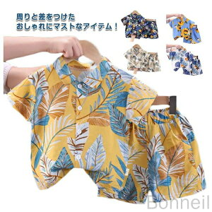 ǂ AnVc LbY gbvX Vc xr[ q j̎q  ㉺Zbg ̎q qǂ  nCA {gX Vc WjA JWA j n[tpc  