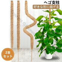 楽天市場】ヘゴ材（花・ガーデン・DIY）の通販