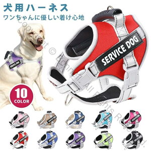  n[lX O   ^ ^ ^Ή ȒP nht  Ȃ EȂ ybgp _炩 ʋC Up n[lX