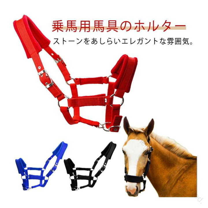 楽天市場】無口 エレガント 乗馬 馬 頭絡 乗馬 馬具 ホルター 馬用 