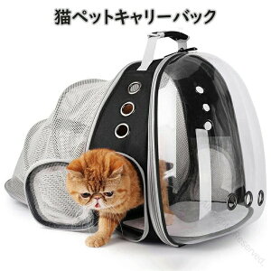 LpbN FDfUC gJvZt ybgL[ ω׏d7Kg n[h^Cv  LΉ o U ObY QpL[obO