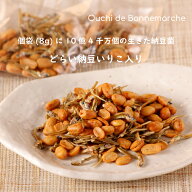 どらい納豆いりこ入り 8g×22袋 無添加 どらいなっとう 納豆菌 小魚 個包装 納豆 納豆キナーゼ 腸内環境 …