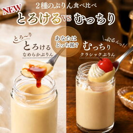 【送料無料】敬老の日 秋ギフトプリン 食べ比べ とろけるvsむっちり（4個・6個） 瓶プリン なめらかプリン クラシックプリン 高級プリン ギフト プレゼント お取り寄せ スイーツ 誕生日 スイーツギフト なめらか かため 純喫茶 贈答