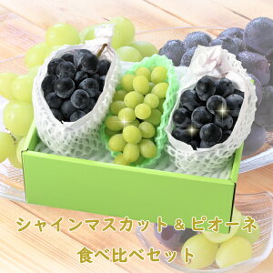 yzΕ Mtg t[c Mtg VC}XJbgsI[l Hה׃Zbg  MtgZbg lߍ킹   NX}X