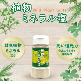 ＼クーポン＆条件達成でP10倍／ 【自然食品】植物ミネラル塩　120g［やつか］　野生植物ミネラル配合　高還元力　旨味・鮮度保持