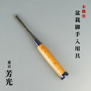  ~͓  F {Ep ~ p~͗p _ ɗ ڂ H  |pi ؍HH 