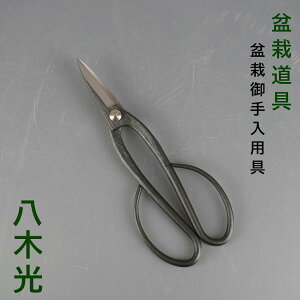 ~͂͂ ΂ ~  S  20cm ، ~ Trimming Shears  ~̓nT~ ~͗p pi ~͌p }؂΂ |pi K[fjO 