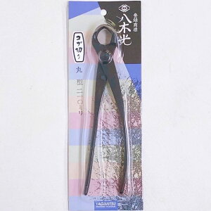 Ru ی^  S 21cm ، ~̓nT~ ~͓ ~͌p ~͗p pi ΂ |pi K[fjO   