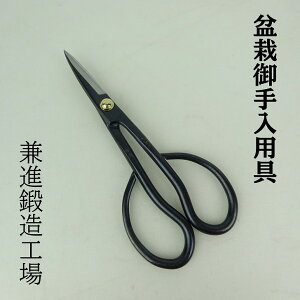 ~͂͂ ΂ ~  S  15cm i } Trimming Shears  ~̓nT~ ~͗p pi ~͌p }؂΂ |pi K[fjO